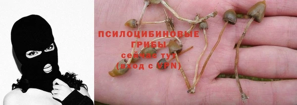 сатива Покров