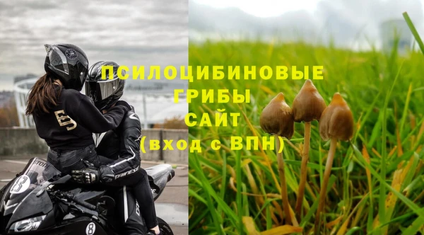 каннабис Алексин