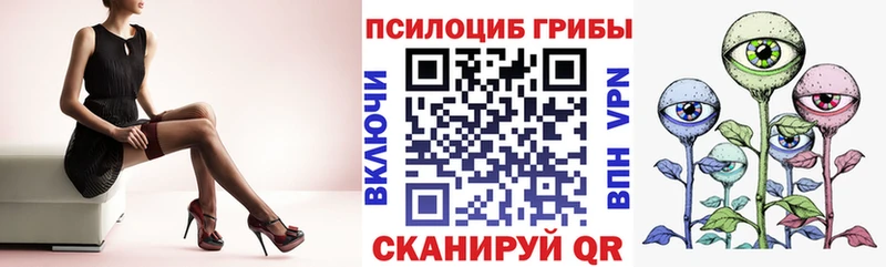 Псилоцибиновые грибы GOLDEN TEACHER Калач-на-Дону